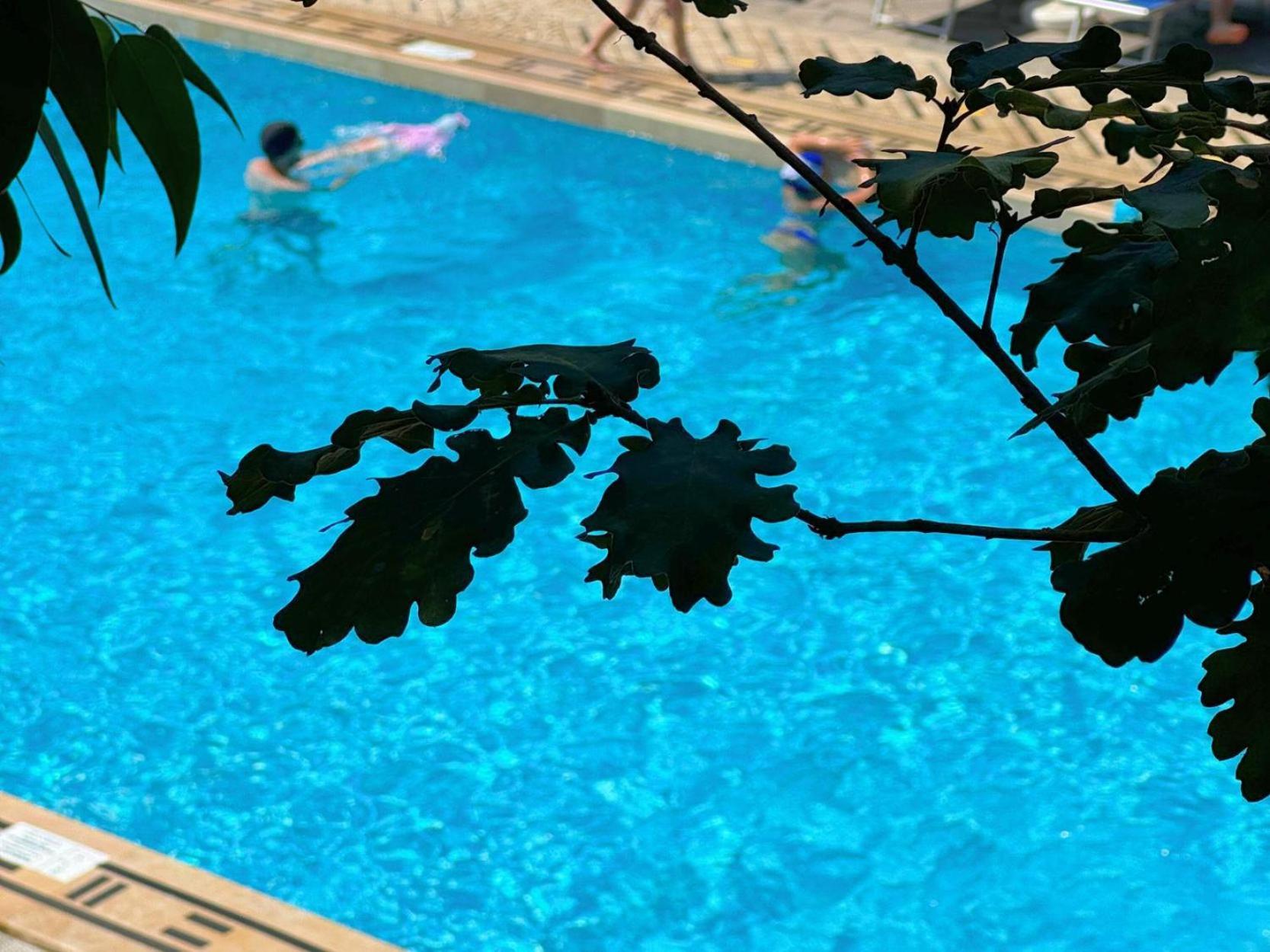 Village Camping Santa Fortunata - Campogaio Sorrento Eksteriør billede